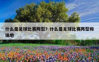 什么是足球比賽陣型？什么是足球比賽陣型和場地