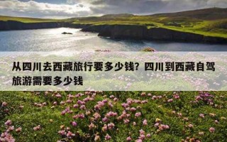從四川去西藏旅行要多少錢？四川到西藏自駕旅游需要多少錢