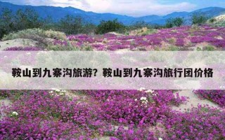 鞍山到九寨溝旅游？鞍山到九寨溝旅行團價格