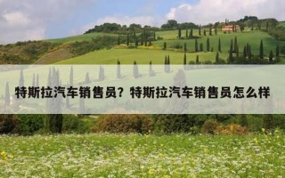 特斯拉汽車銷售員？特斯拉汽車銷售員怎么樣