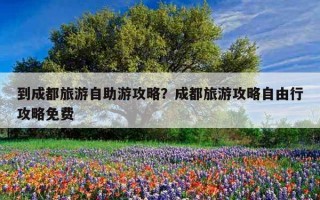到成都旅游自助游攻略？成都旅游攻略自由行攻略免費