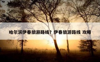 哈爾濱伊春旅游路線?伊春旅游路線 攻略 哈爾濱伊春旅游路線?伊春旅游路線 攻略