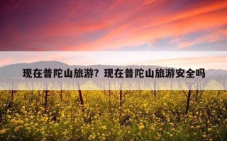 現在普陀山旅游？現在普陀山旅游安全嗎