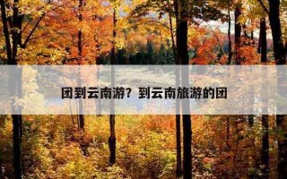 團到云南游？到云南旅游的團