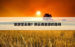 旅游至云南？到云南旅游的路線