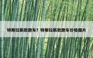 特斯拉新款跑車？特斯拉新款跑車價格圖片