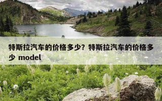 特斯拉汽車的價格多少？特斯拉汽車的價格多少 model