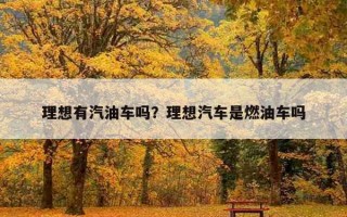 理想有汽油車嗎?理想汽車是燃油車嗎 理想有汽油車嗎?理想汽車是燃油車嗎