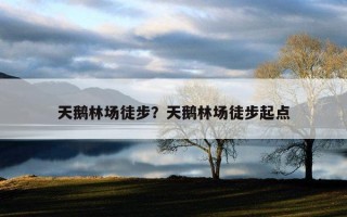 天鵝林場徒步？天鵝林場徒步起點