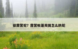 驅露營蛇？露營帳篷周圍怎么防蛇