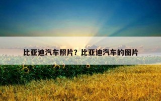 比亞迪汽車照片？比亞迪汽車的圖片