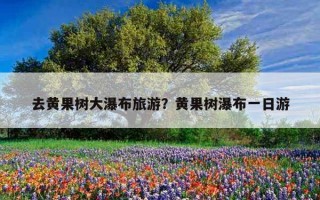去黃果樹大瀑布旅游?黃果樹瀑布一日游 去黃果樹大瀑布旅游?黃果樹瀑布一日游