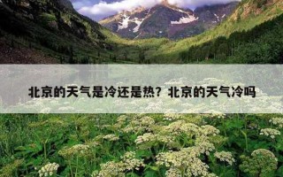 北京的天氣是冷還是熱？北京的天氣冷嗎