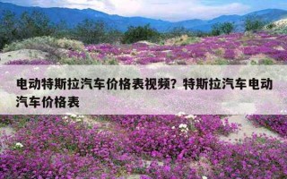 電動特斯拉汽車價格表視頻？特斯拉汽車電動汽車價格表
