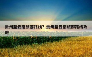 貴州至云南旅游路線？貴州至云南旅游路線攻略