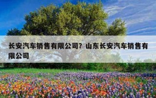 長安汽車銷售有限公司？山東長安汽車銷售有限公司