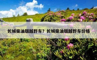 長城柴油版越野車？長城柴油版越野車價格