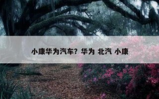 小康華為汽車？華為 北汽 小康
