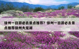 徐州一日游必去景點推薦？徐州一日游必去景點推薦徐州大龍湖