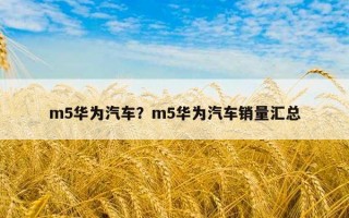 m5華為汽車？m5華為汽車銷量匯總