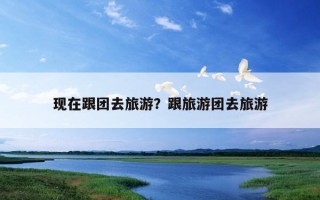 現在跟團去旅游？跟旅游團去旅游