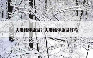 夫妻結伴旅游？夫妻結伴旅游好嗎