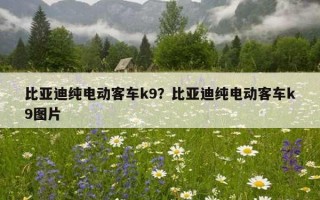 比亞迪純電動客車k9？比亞迪純電動客車k9圖片