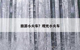 旅游小火車？觀光小火車