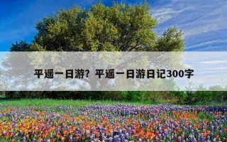 平遙一日游？平遙一日游日記300字