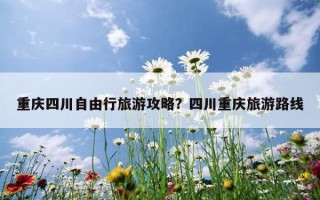 重慶四川自由行旅游攻略？四川重慶旅游路線