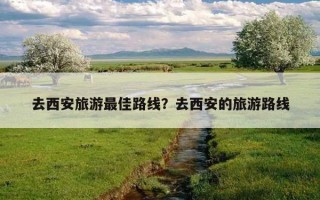 去西安旅游最佳路線？去西安的旅游路線
