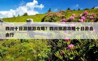 四川十日游旅游攻略？四川旅游攻略十日游自由行