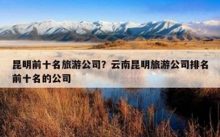 昆明前十名旅游公司？云南昆明旅游公司排名前十名的公司