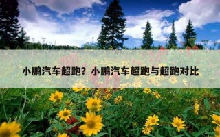 小鵬汽車超跑？小鵬汽車超跑與超跑對比
