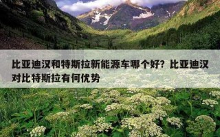 比亞迪漢和特斯拉新能源車哪個好？比亞迪漢對比特斯拉有何優勢