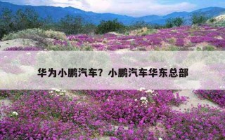 華為小鵬汽車？小鵬汽車華東總部