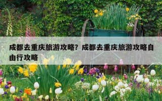 成都去重慶旅游攻略？成都去重慶旅游攻略自由行攻略