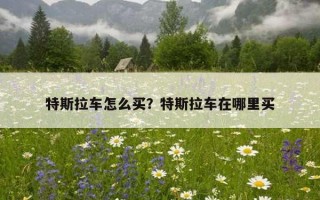 特斯拉車怎么買？特斯拉車在哪里買