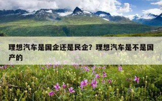 理想汽車是國企還是民企？理想汽車是不是國產的
