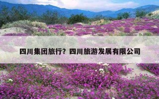 四川集團旅行？四川旅游發展有限公司