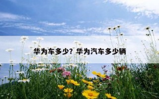 華為車多少？華為汽車多少輛