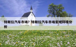 特斯拉汽車市場？特斯拉汽車市場宏觀環境分析