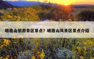 峨眉山旅游景區景點？峨眉山風景區景點介紹