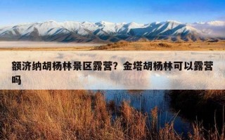 額濟納胡楊林景區露營？金塔胡楊林可以露營嗎