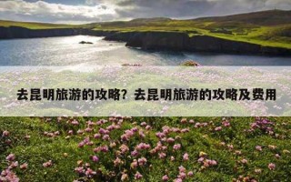 去昆明旅游的攻略？去昆明旅游的攻略及費用