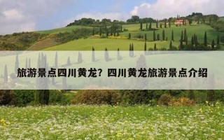 旅游景點四川黃龍？四川黃龍旅游景點介紹