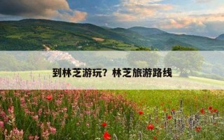 到林芝游玩？林芝旅游路線