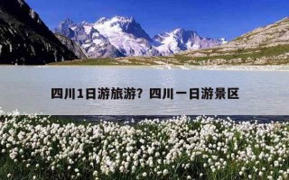 四川1日游旅游？四川一日游景區