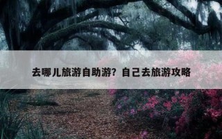 去哪兒旅游自助游？自己去旅游攻略