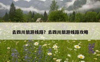 去四川旅游線路？去四川旅游線路攻略